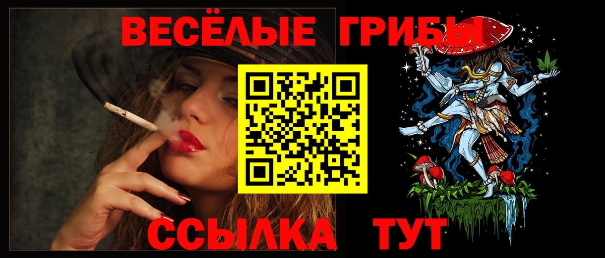 Галлюциногенные грибы прущие грибы  Вход с VPN  Зима  Псилоцибиновые грибы Cubensis 