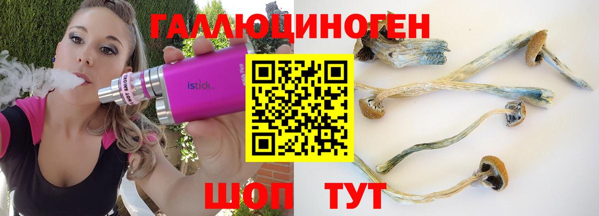 Псилоцибиновые грибы мицелий Зима